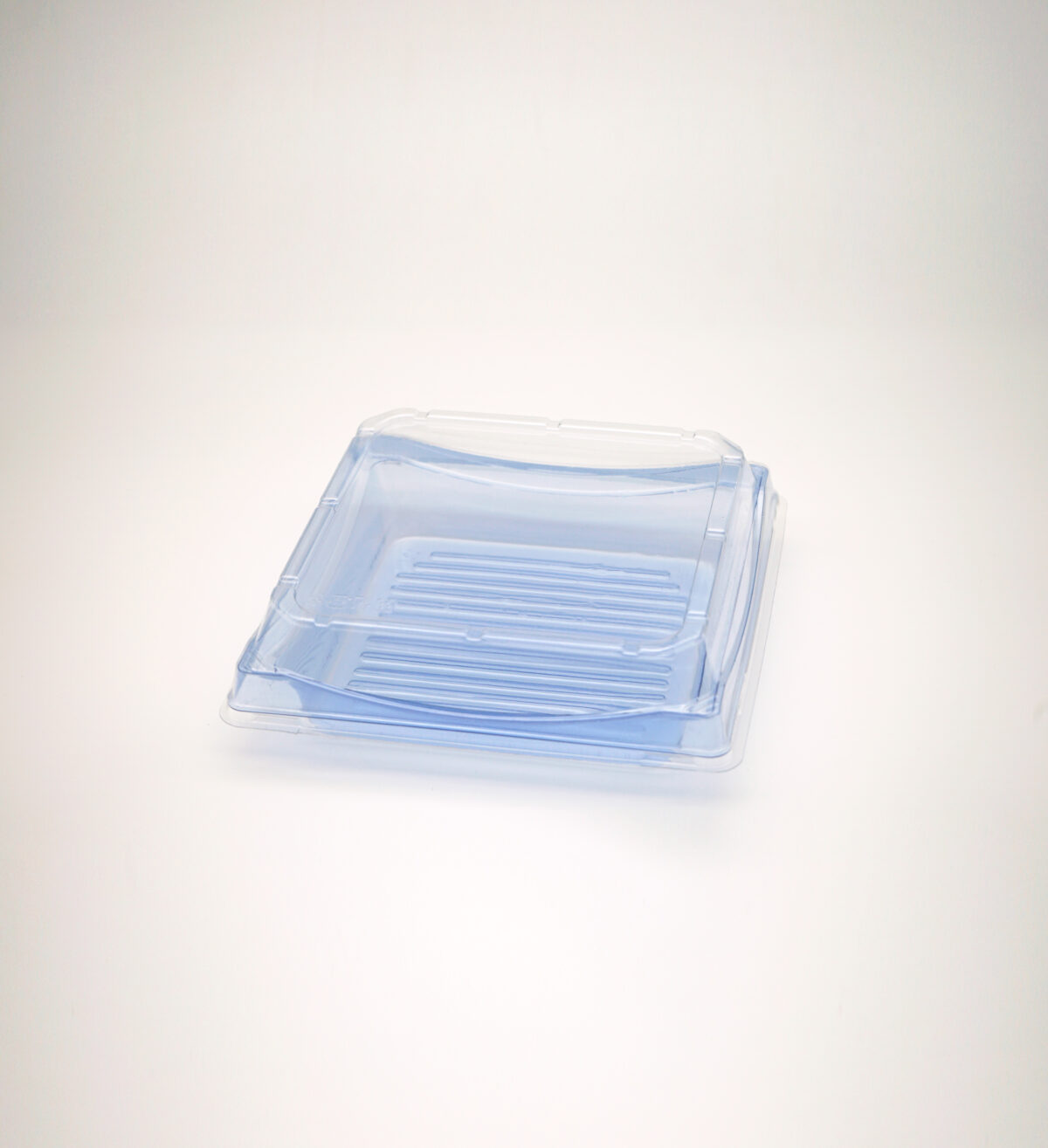 Blue Pet Square Sushi Party Tray With Lid