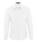 Dressy Shirts - Image 4